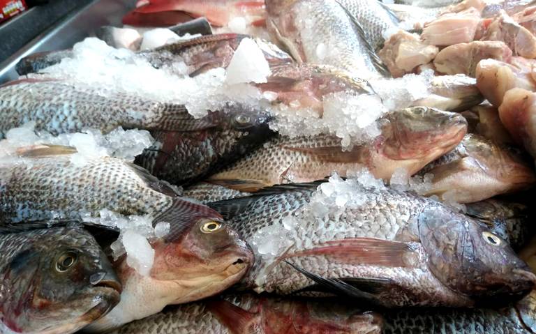 Disminuye 10% consumo de pescados y mariscos - El Sol del Bajío | Noticias  Locales, Policiacas, de México, Guanajuato y el Mundo