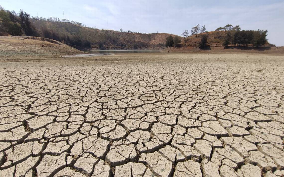 Azota Sequía Extrema A 19 De 46 Municipiosse Secan Presas Y Lagunas De Guanajuato El Sol Del 0713