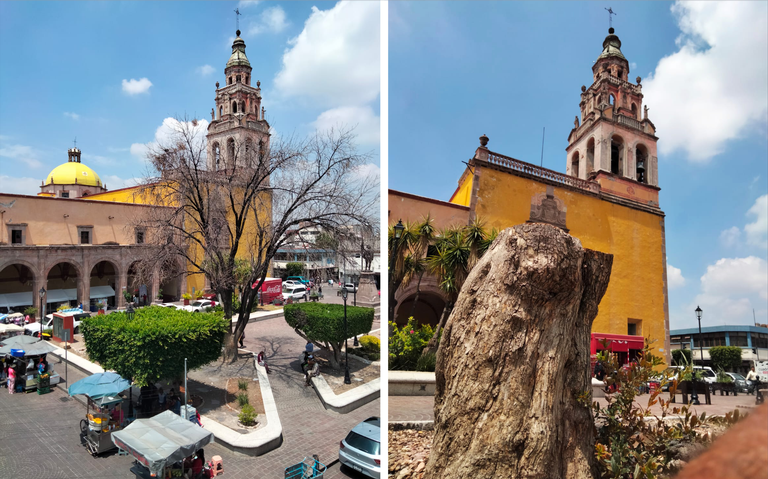 Piden a vecinos solicitar poda de árboles con riesgo a cortos circuitos -  El Sol del Bajío | Noticias Locales, Policiacas, de México, Guanajuato y el  Mundo