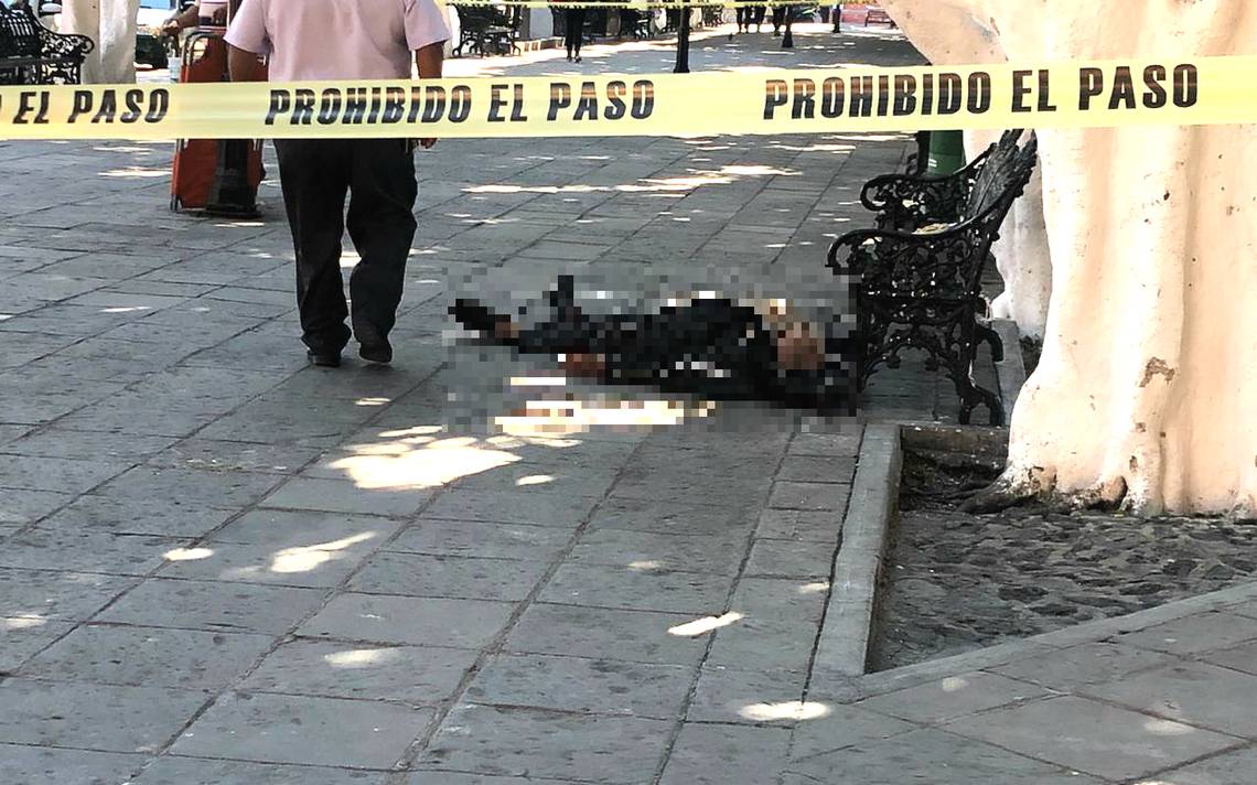 Fallece en pleno Jardín Principal de Salvatierra - El Sol 